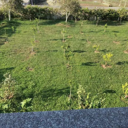 Palma Appartement